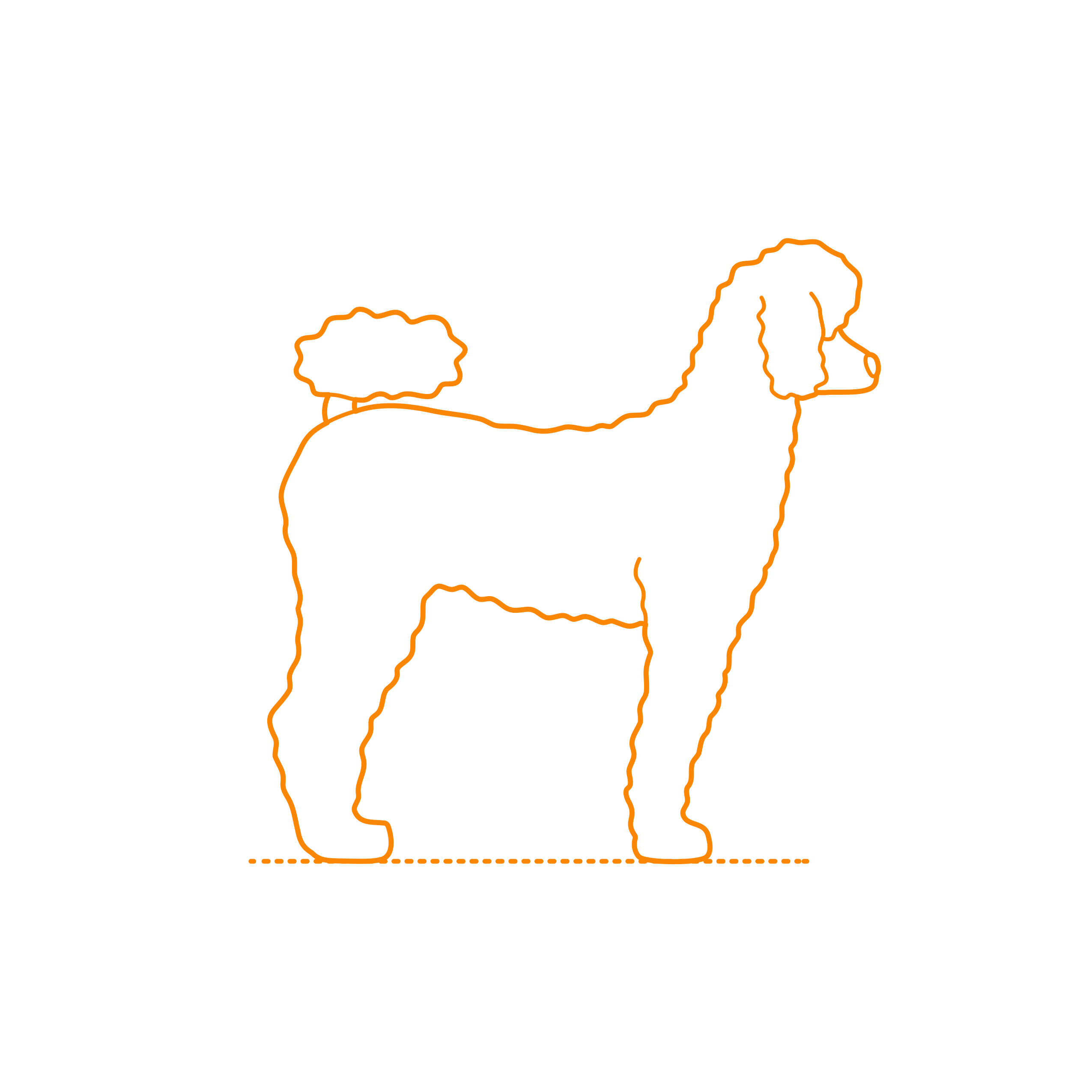 Animals Dogs Standard Poodle Outline Svg Vector Free Vectors